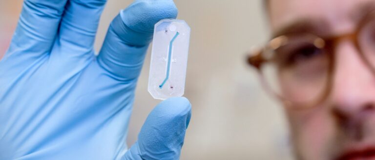 Een onderzoeker bekijkt een ‘chip’ voor onderzoek aan darmcellen.